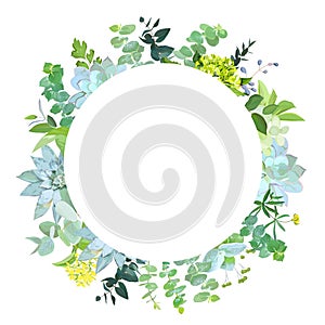 Herbal mix vector round frame.