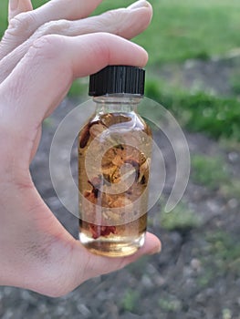 Herbal oil blend bottle glass magick witchcraft photo