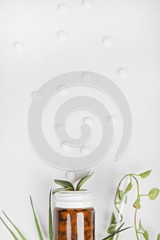 Herbal pills in glass bottle and green plant leaves on white background