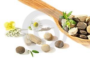 Herbal pills in a wooden spoon with fresh herbs and flowers for alternative medicine