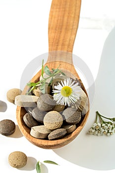 Herbal pills in a wooden spoon with fresh herbs and flowers for alternative medicine