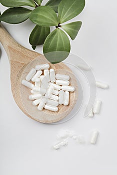 Herbal pills in wooden spoon and green plant on white background