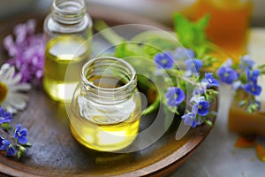 Herbal plants oils, alternative herbal medicine, oil bottles photo