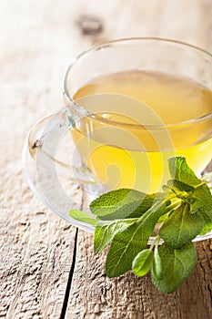 Herbal sage tea with green leaf in glass cup