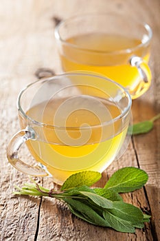 Herbal sage tea with green leaf in glass cups