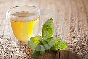 Herbal sage tea with green leaves in glass cups