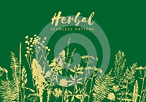 Herbal seamless pattern. Botanical border. Vector grass background.