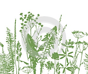 Herbal seamless pattern. Botanical border. Vector grass background.