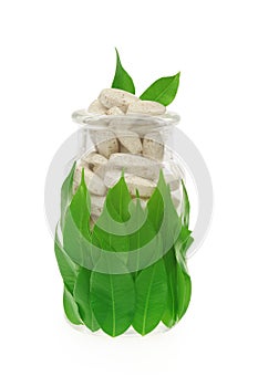 Herbal supplement pills and fresh leaves in glass