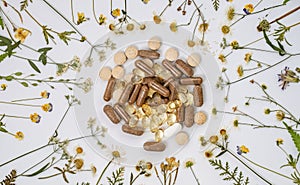 Herbal supplements and dried medicinal herbs, top view, flat lay