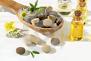 Herbal tablets in a wooden spoon with fresh herbs and flowers and natural oil for alternative medicine