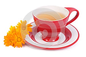 Herbal tea with calendula flowers isolated