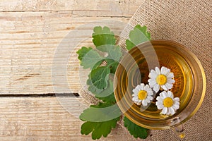 Herbal tea with chamomile on old wooden table. Top view. alternative medicine concept