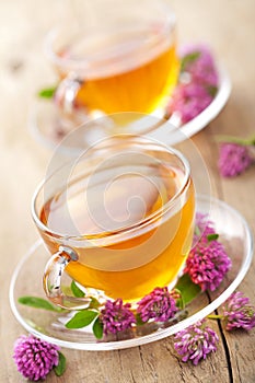 Herbal tea and clover flowers