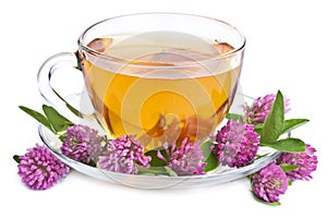 Herbal tea and clover flowers isolated