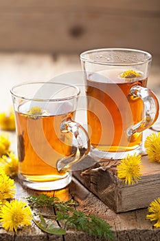 Herbal tea with coltsfoot flowers photo