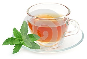 Herbal tea in a cup with stevia leaves photo