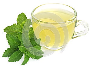 Herbal tea in a cup with stevia and mint leaves
