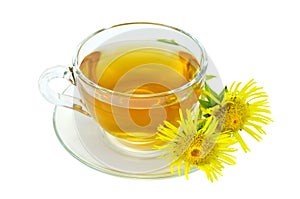 Herbal tea with elecampane in a glass cup