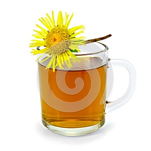 Herbal tea with elecampane in a glass mug photo
