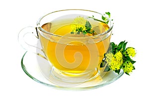 Herbal tea with flowers Rhodiola Rosea on saucer