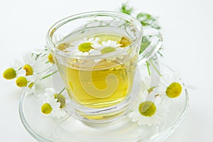 Herbal tea with fresh chamomile