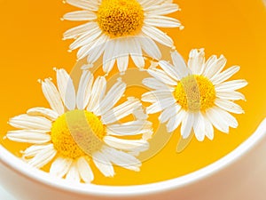 Herbal tea with fresh chamomile flowers in a cup