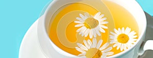 Herbal tea with fresh chamomile flowers in a cup