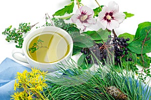 Herbal tea of fresh thyme, hypericum, mallows and chokeberries