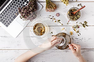 Herbal tea for home medicina, flat lay on table photo