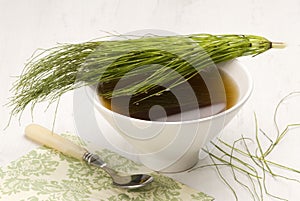 Herbal tea. Horsetail.