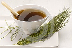 Herbal tea. Horsetail. photo