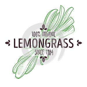 Herbal tea ingredient, lemongrass isolated icon with lettering