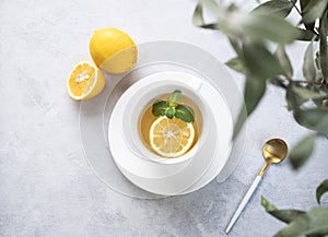 Herbal tea with lemon and mint in a white cup on a light background with eucalyptus branches close up. The concept of a healthy