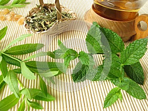 Herbal tea with lemon verbena and moroccan mint