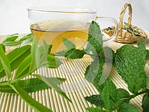 Herbal tea with lemon verbena and moroccan mint