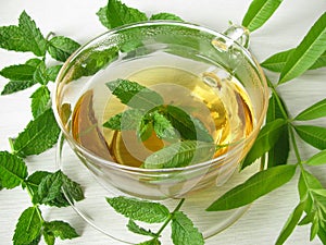 Herbal tea with lemon verbena and moroccan mint