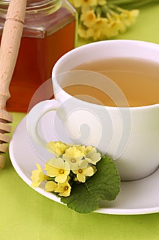 Herbal tea with primroses and honey