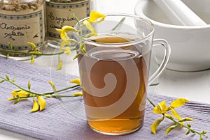 Herbal tea. Retama sphaerocarpa. photo