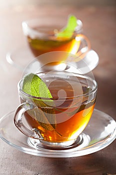 Herbal tea with sage leaf