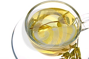 Herbal tea, sage leaves and lemon slice on white background, macro shot,