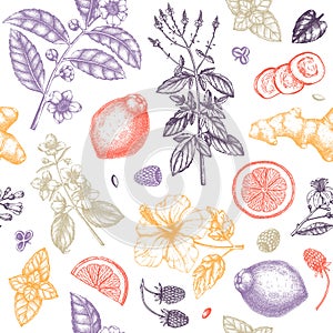 Herbal tea seamless pattern. Hand sketched fruits, herbs, flowers, berries, leaves backdrop. Vector botanical illustration.