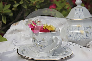 The herbal tea is served in a splendid English tea kit