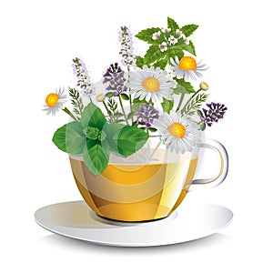 Herbal tea in a transparent cup with aromatic herbs