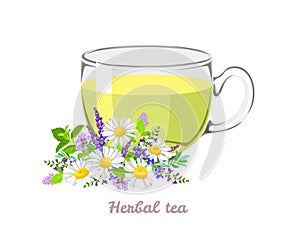 Herbal tea in transparent glass cup. Vector cartoon illustration of healthy drink