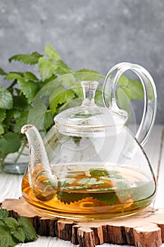 Herbal tea in a transparent teapot on the table and sprigs of fresh Melissa lemon balm and mint