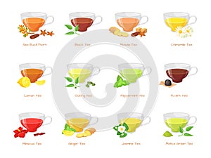 Herbal tea types. Different type green black teas, hot sugar drink in glass cup, flowers jasmin ginger peppermint lemon