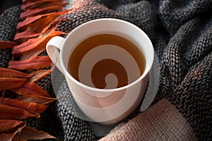 Herbal tea in white cup on background from knitted scarf and orange autumn leaves