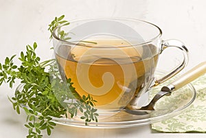 Herbal tea. Wine rue. photo