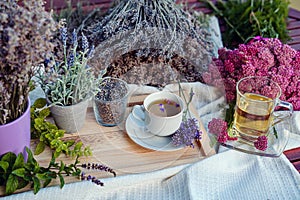 Herbal tea - Yarrow - Achillea millefolium and Lavender tea